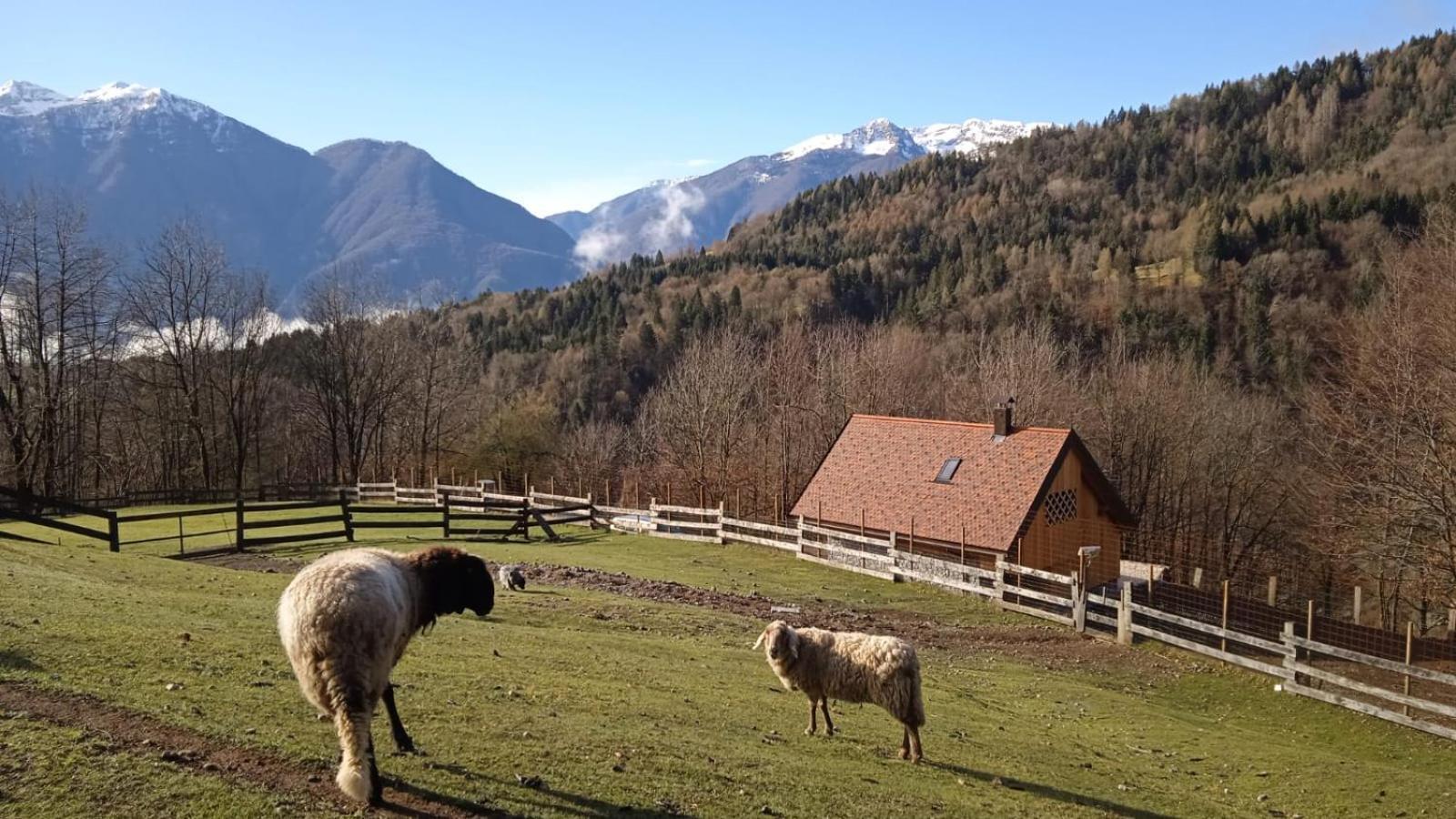 Chalet Navauce Raveo Exteriör bild